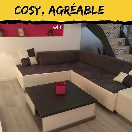 Agreable Duplex Au Centre De 브리우드