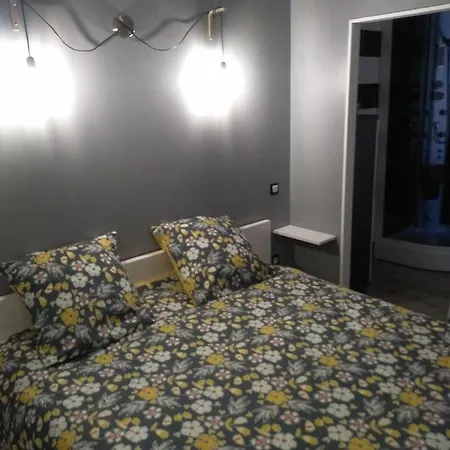 Agreable Duplex Au Centre De Lägenhet *